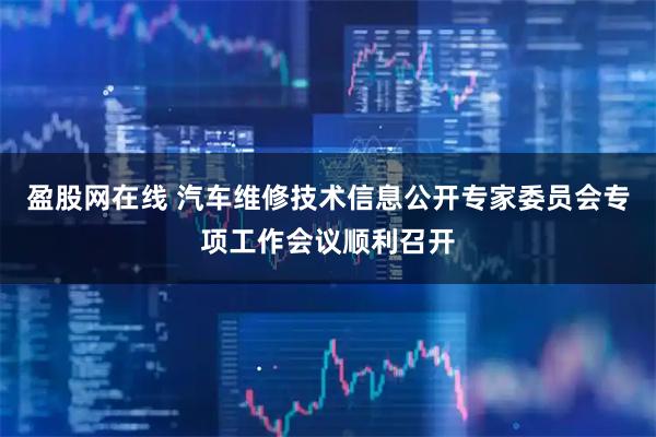 盈股网在线 汽车维修技术信息公开专家委员会专项工作会议顺利召开