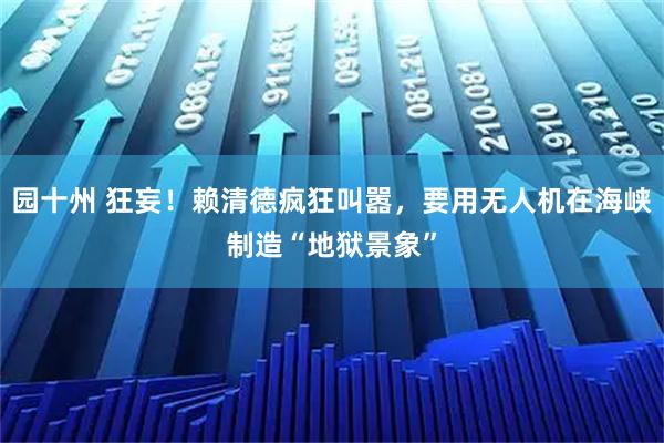 园十州 狂妄！赖清德疯狂叫嚣，要用无人机在海峡制造“地狱景象”